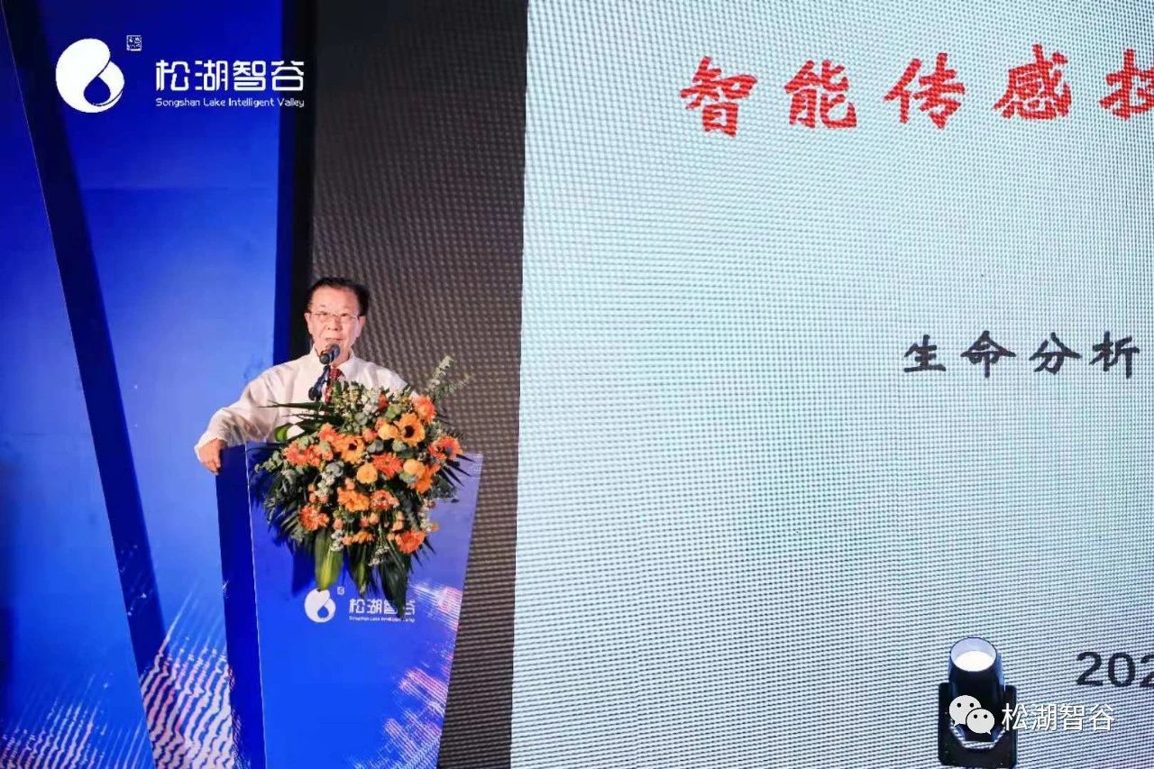 东莞市高盛集团