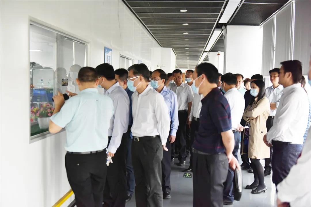 东莞市高盛集团